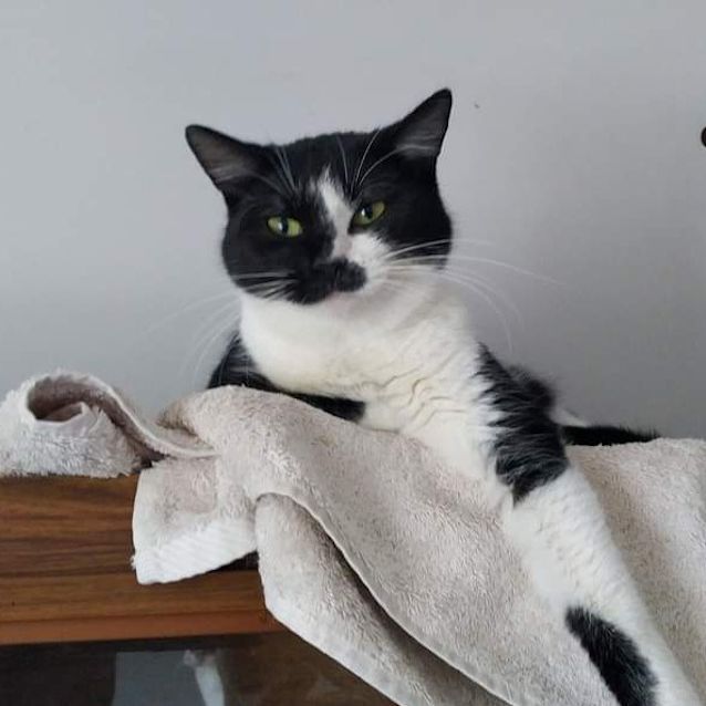 Photo of Holly