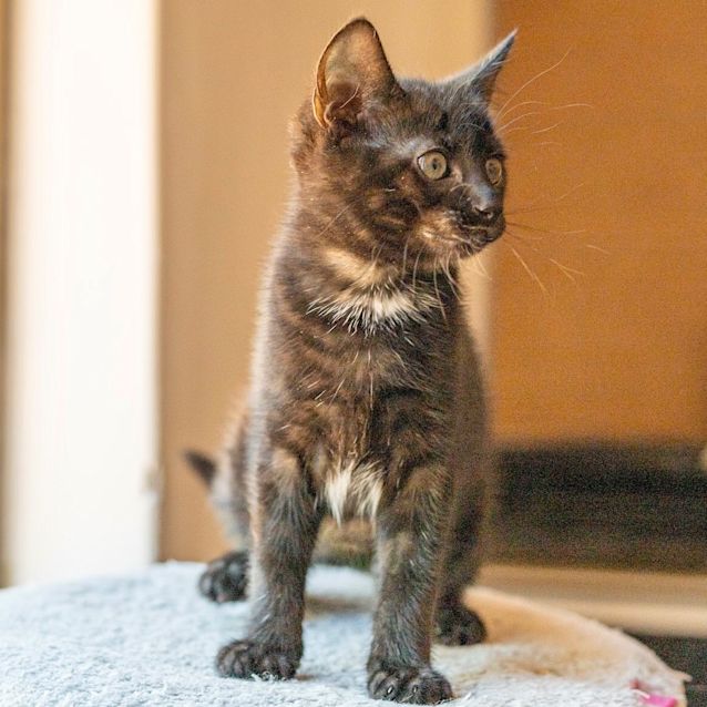 Photo of Blu