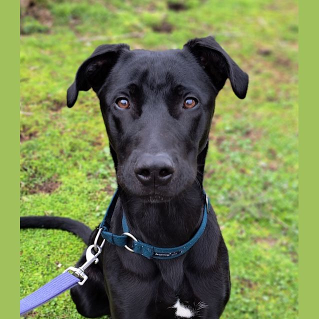 Photo of Winston