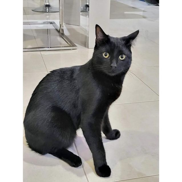 Photo of 6708   Hehemeow