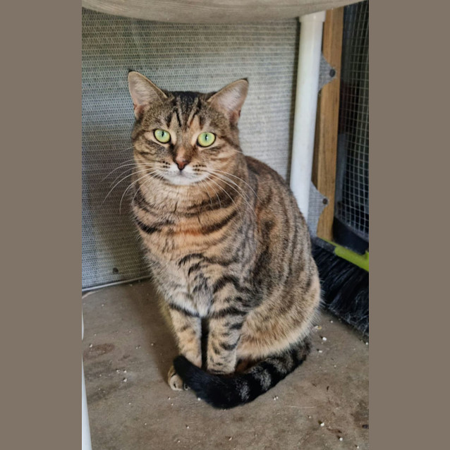 Photo of Tina