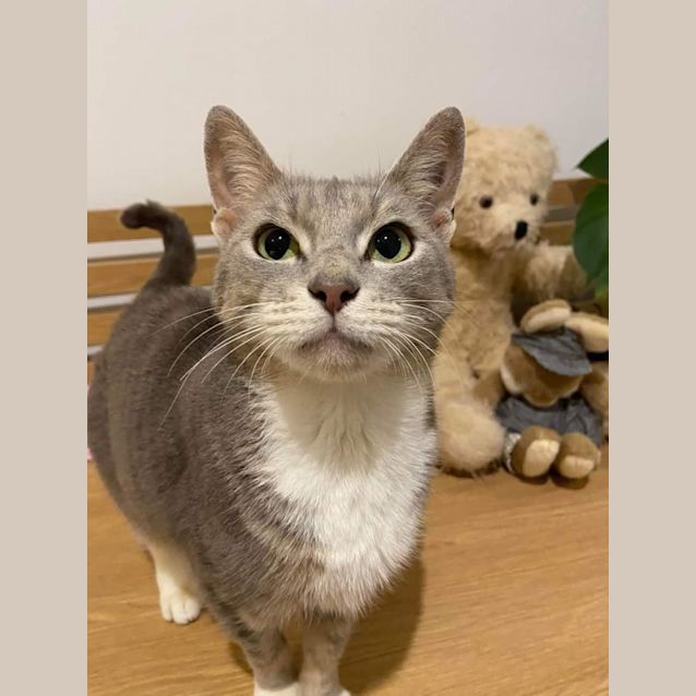 Photo of Eve 💞💓