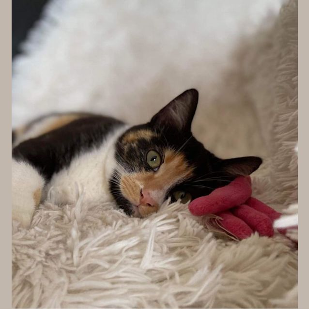 Photo of Greta 