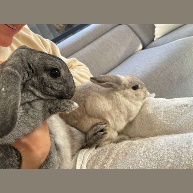 Photo of Big John And Sundae