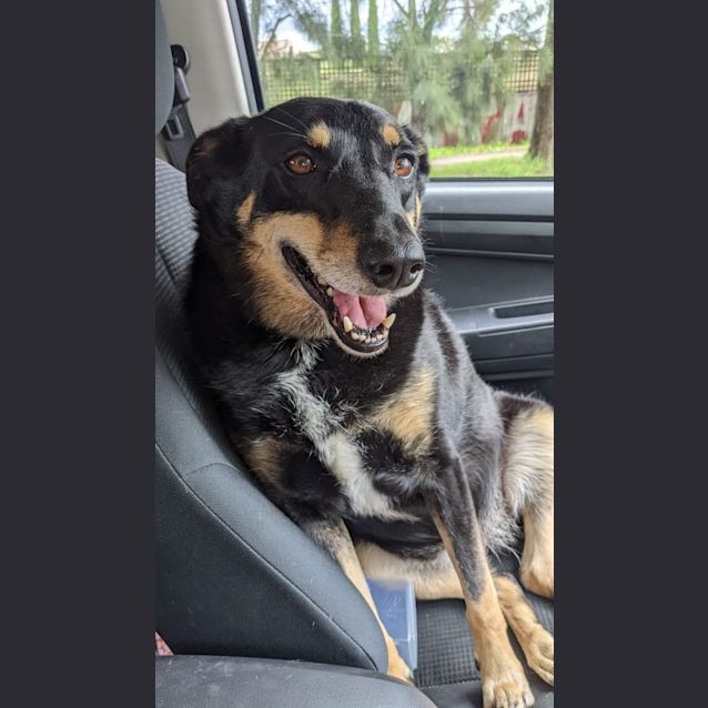 Photo of Booma & Zelda