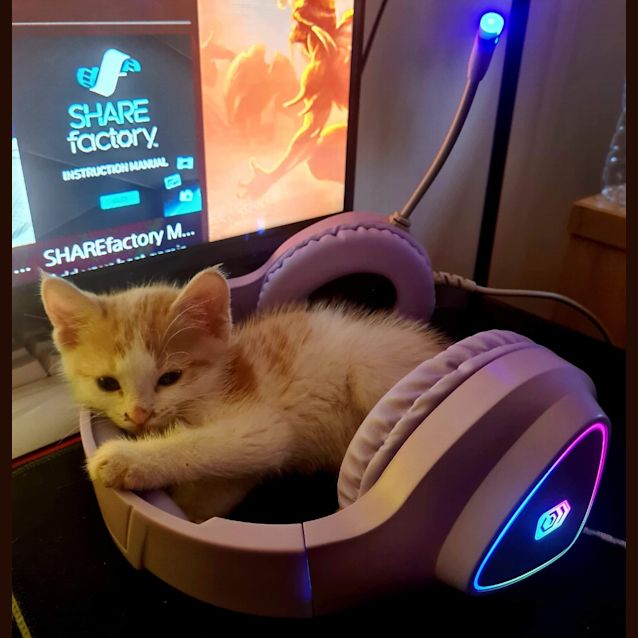 Photo of Prince Harry