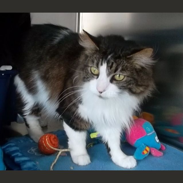 Photo of Milly