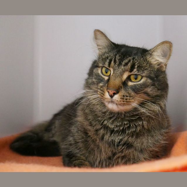 Photo of Carl Rsua010238