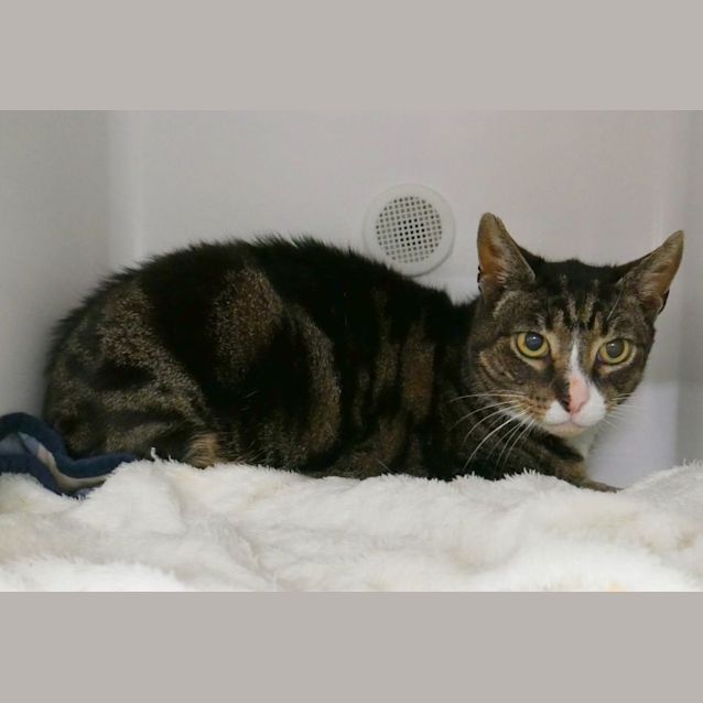 Photo of Moe Sta010332