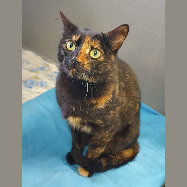 Photo of Mrs. Blanch