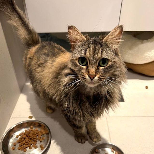 Photo of Sissy   Located In Brunswick East