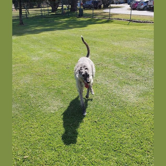 Photo of Zelda