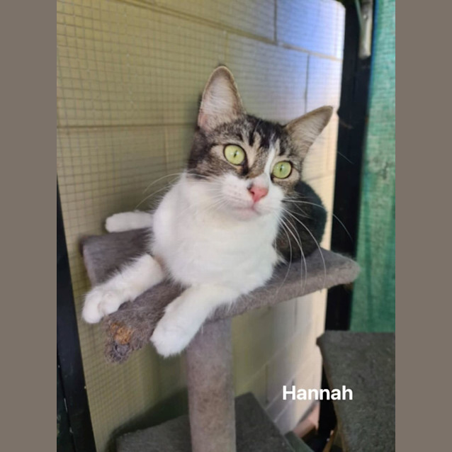 Photo of Hannah