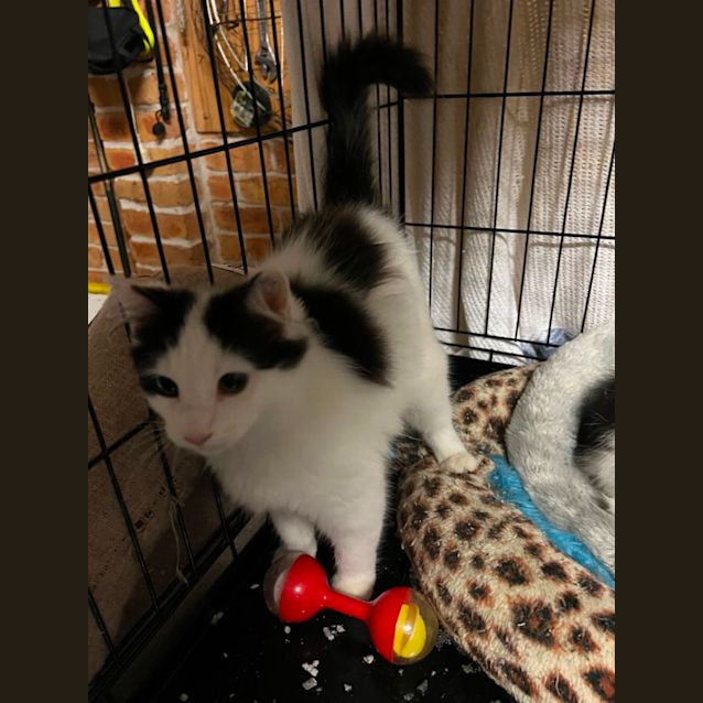 Photo of Indy And Marty 