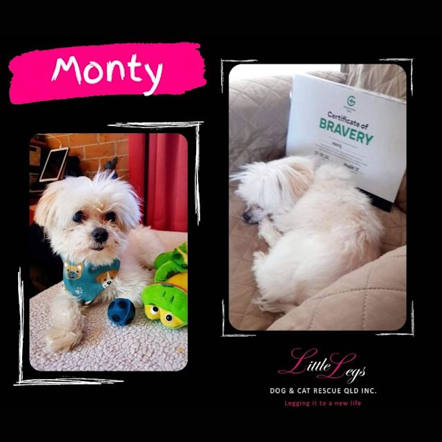 Photo of Monty