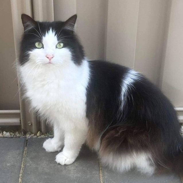 Photo of 5379   Devon