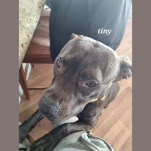 Photo of Tiny