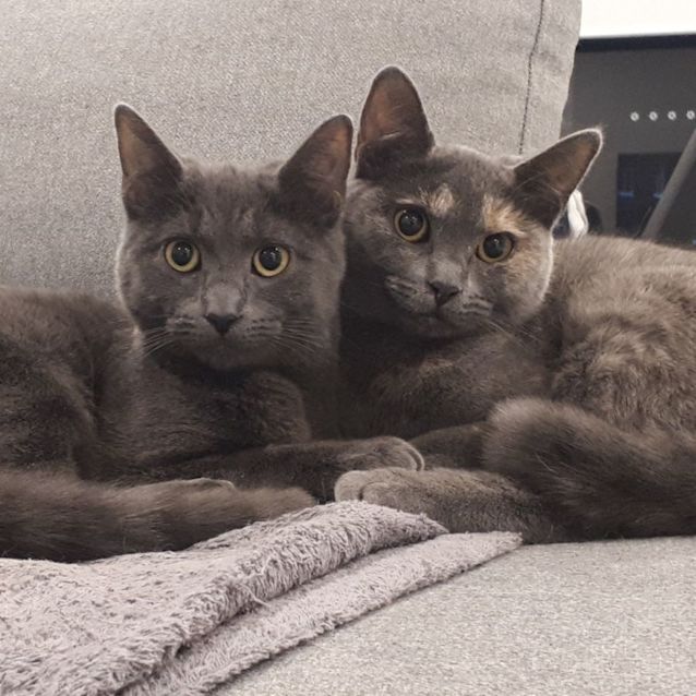 Photo of Daphne And Benedict