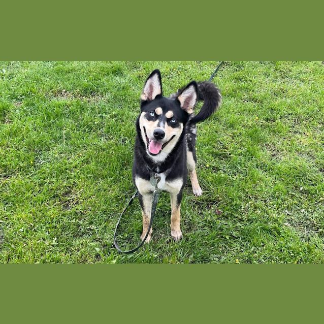 Photo of Nova