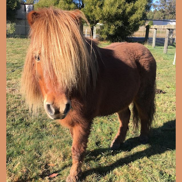 Photo of Minky