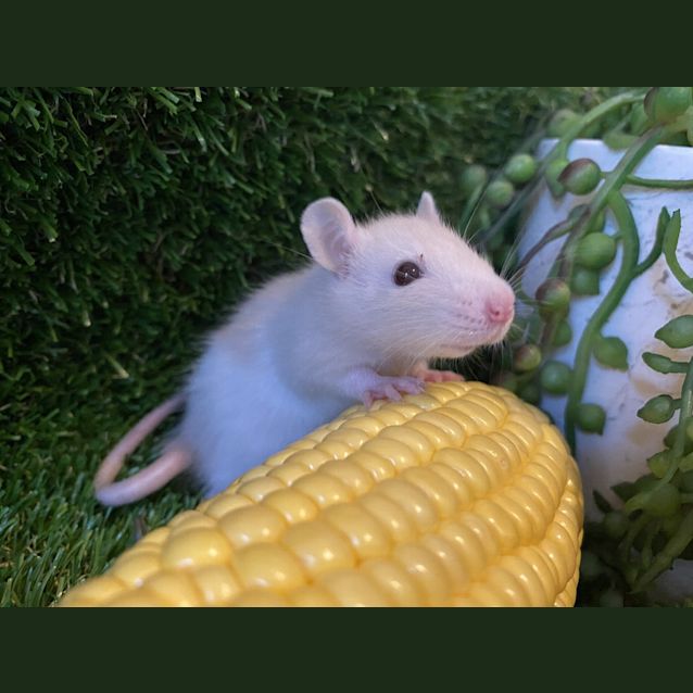 Photo of Dale