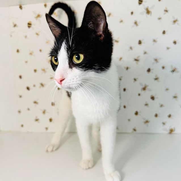 Photo of Barry   Located In Preston