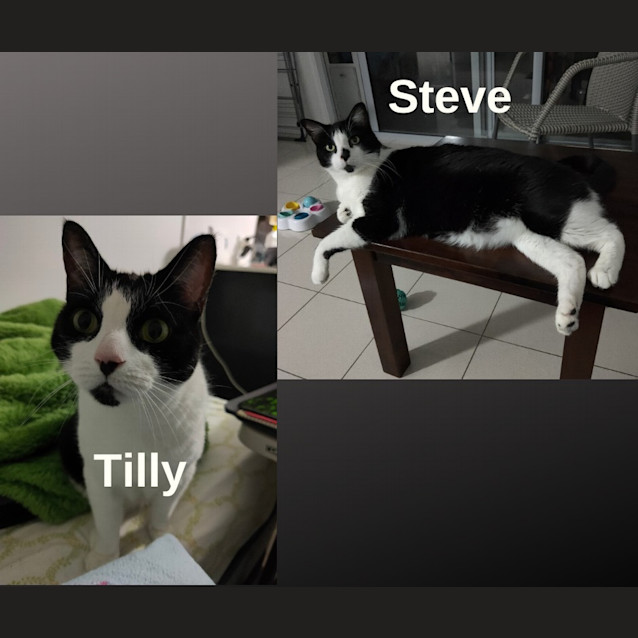 Photo of Steve / Tilly The Tripod