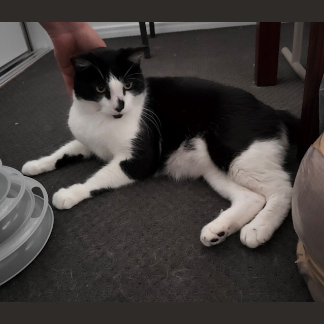 Photo of Steve / Tilly The Tripod