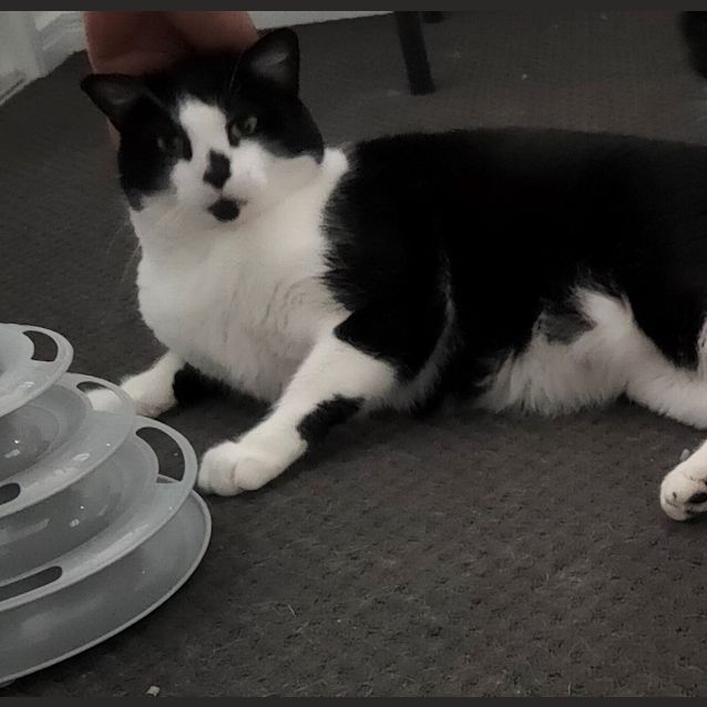 Photo of Steve / Tilly The Tripod