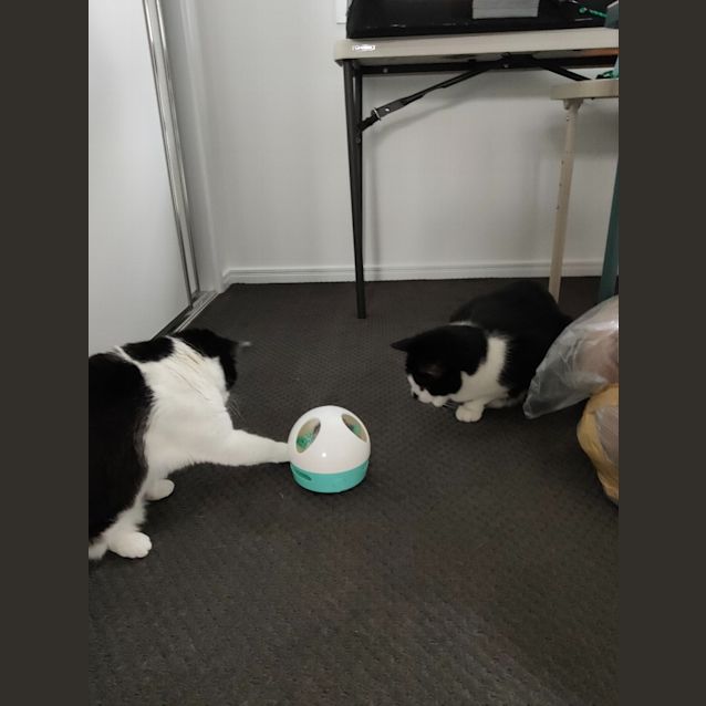 Photo of Steve / Tilly The Tripod