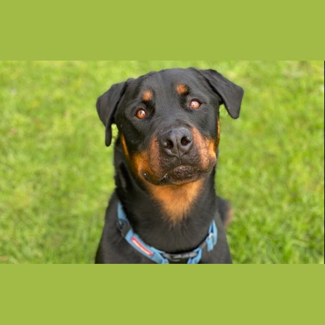 Photo of Uno