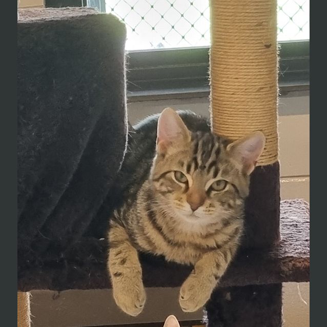 Photo of Tommy