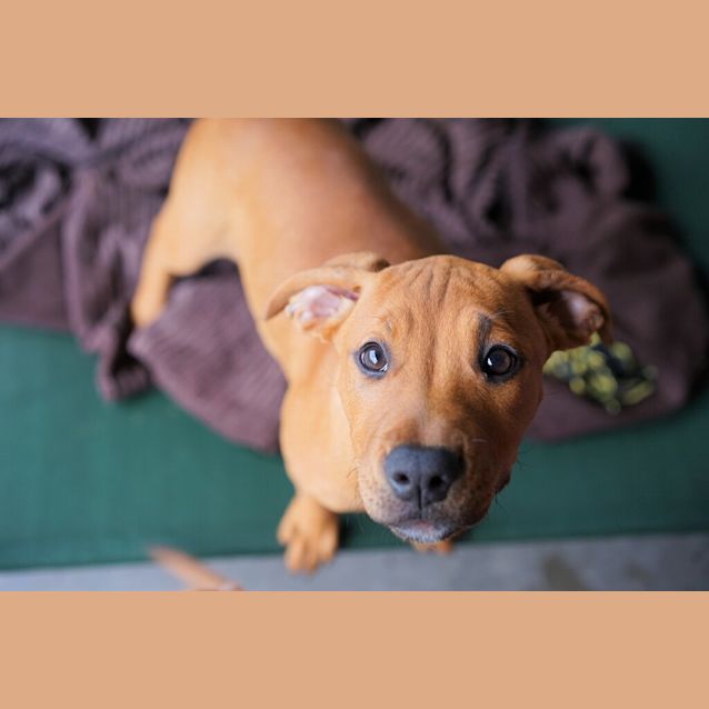 Photo of Annie