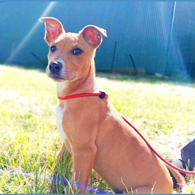 Photo of Emmy
