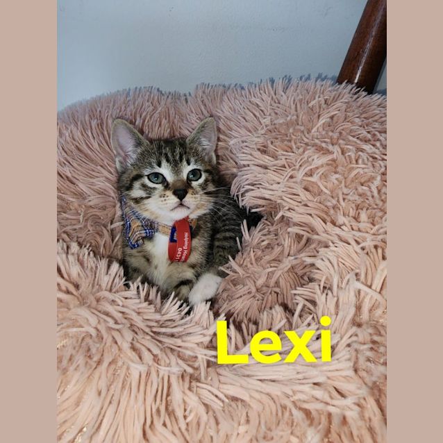 Photo of Lexi