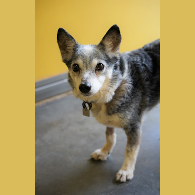 Photo of Molly