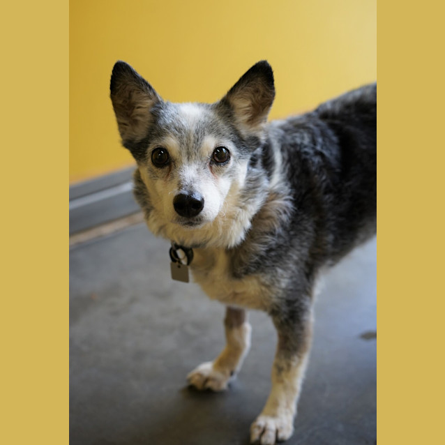Photo of Molly