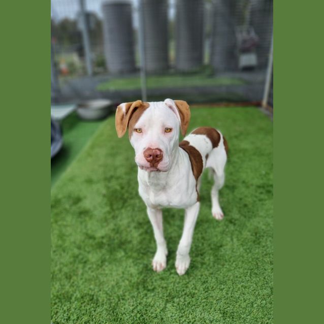 Photo of Max