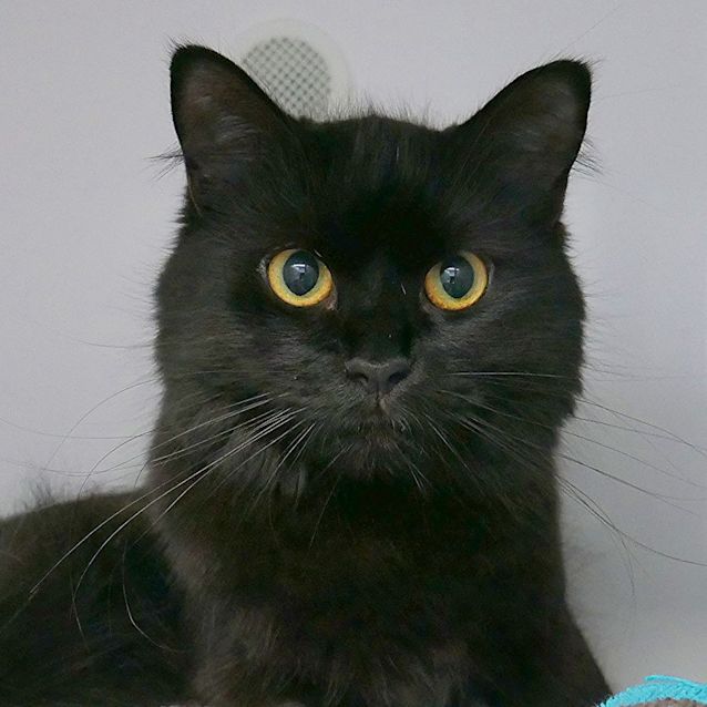 Photo of Sophie Sta010305