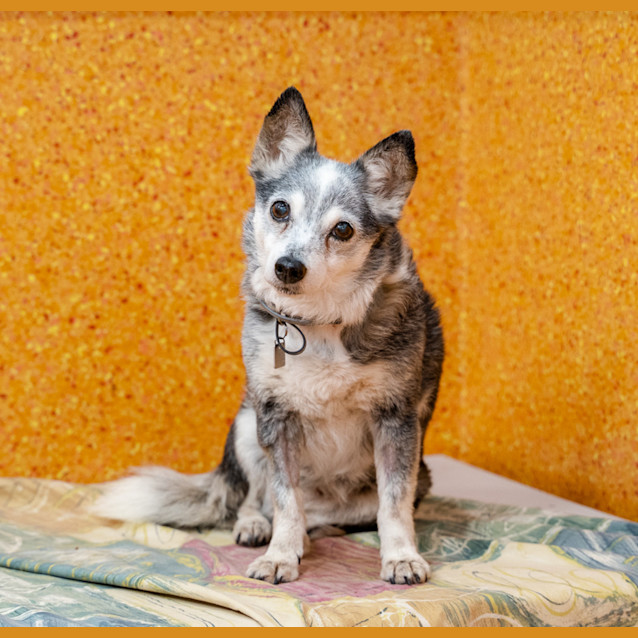 Photo of Molly