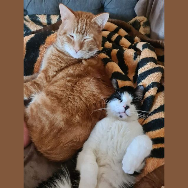 Photo of Martie And Rocket 💙💙
