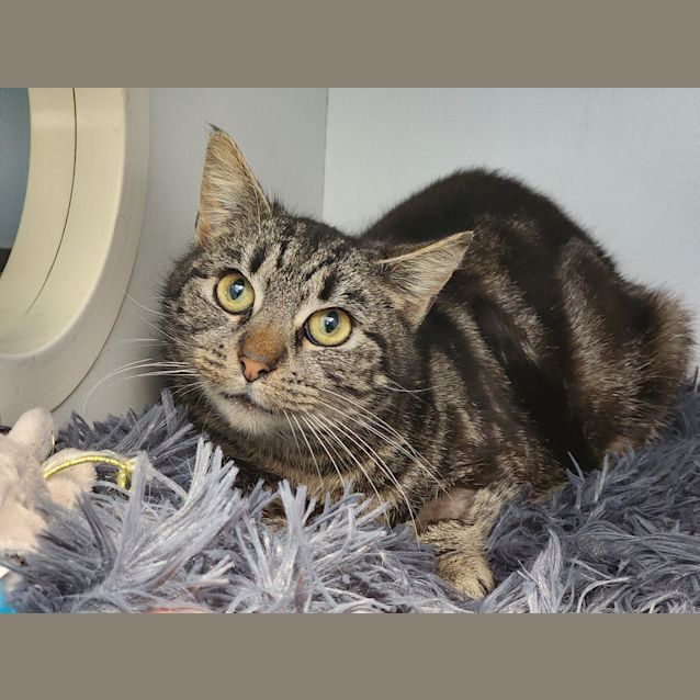 Photo of Mrs Sellner