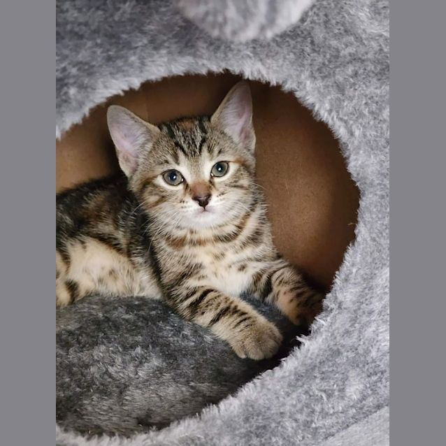Photo of Amber 