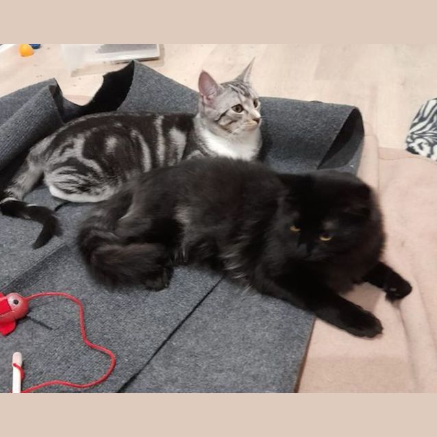 Photo of Fleur And Fe