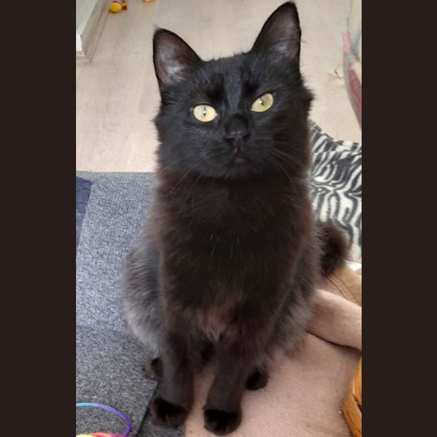 Photo of Fleur And Fe