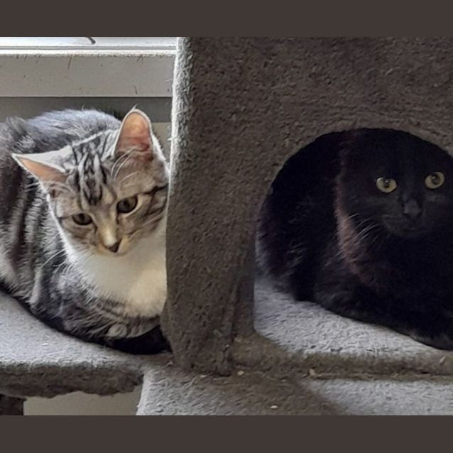 Photo of Fleur And Fe