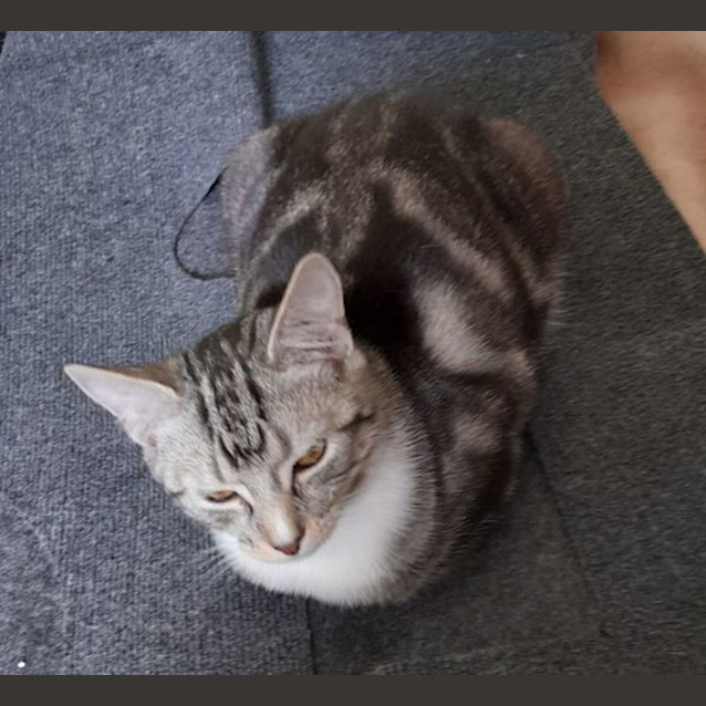 Photo of Fleur And Fe