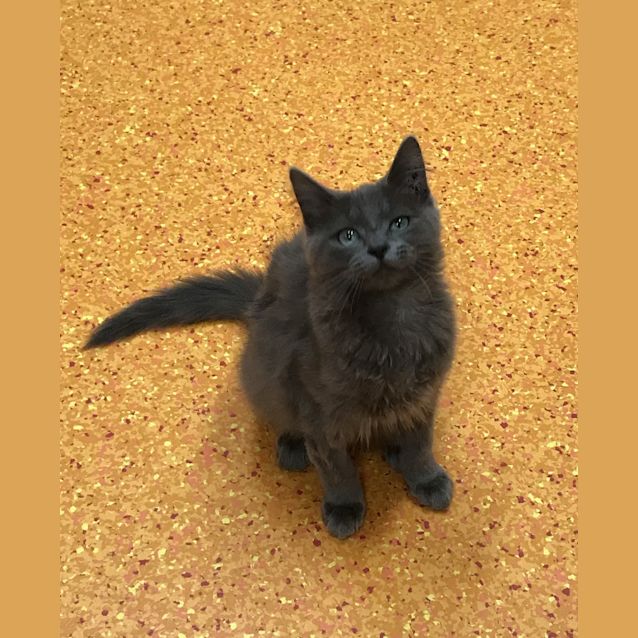 Photo of Theo