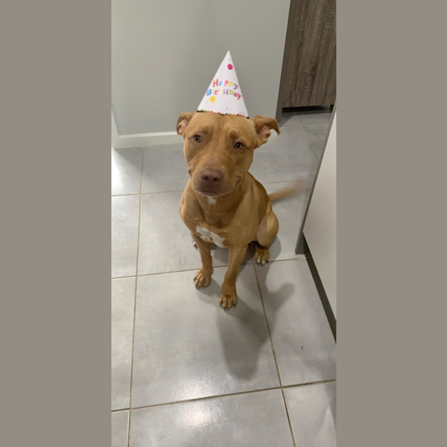 Photo of Koda And Ryda 