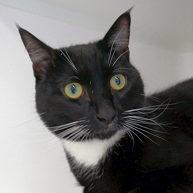 Photo of Cosmo Rsua010295